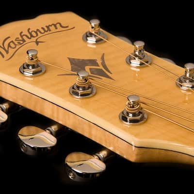 Washburn EA20 Festival Series Florentine Cutaway Flame Maple Top 6-String Acoustic-Electric Guitar image 13