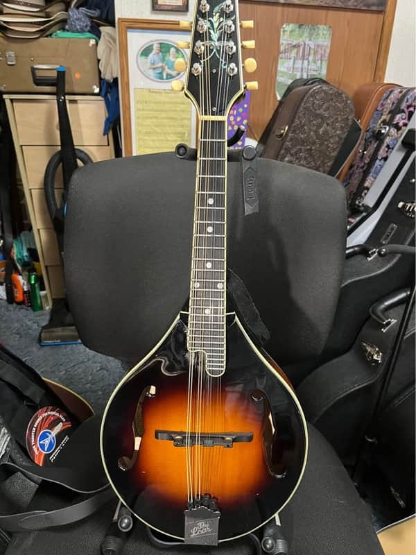 Greg Rich Designed "The Loar" LM-400-VS Early " Fern " Nitrocellulose image 1