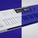 Native Instruments Komplete Kontrol S49 Mk2 25th Anniversary Edition 2021 - Ultraviolet (Purple)