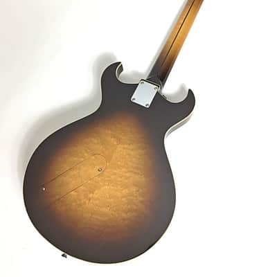 Immagine TK Smith Roadmaster 2016 Sunburst - 6