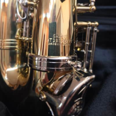 Selmer SAS301 Student Premium Alto Saxophone 2021 - Present - Lacquered Brass image 5