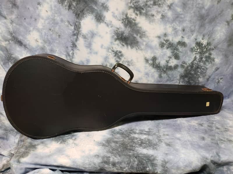 Epiphone Texan Soft Shell Case