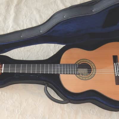Aiersi all solid wood lattice braced guitar image 12
