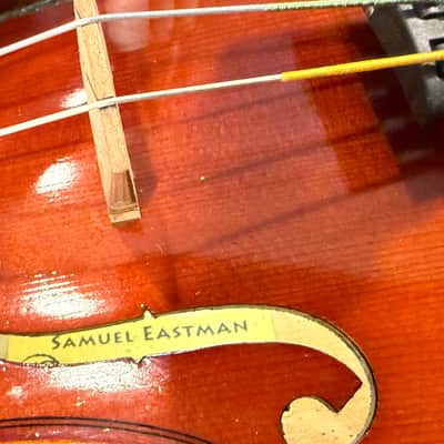 Eastman VL100 3/4 2020 image 12