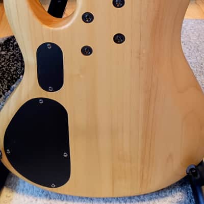ESP LTD B-208SM 2019 - Present - Spalted Maple - Natural Satin image 5
