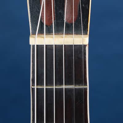 Lyon & Healy Parlor Guitar Circa 1905 / Over a Century of Seasoning! / June Special!!! image 3
