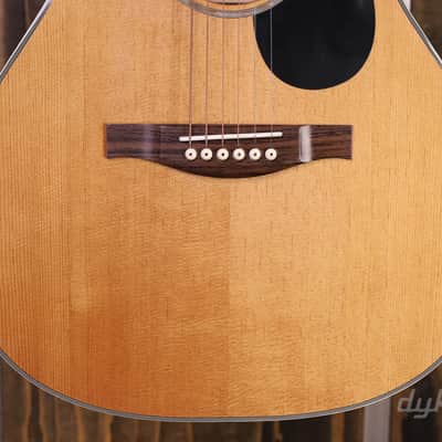 Eastman PCH2-OM Natural image 4