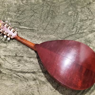 1920's Weymann Mandolute image 12