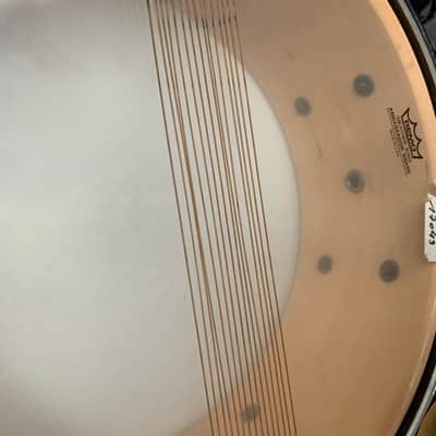 Pearl Symphonic 1 single PLY image 5