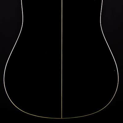 楽器・機材 Washburn WD10SB ブラック アコースティックギター