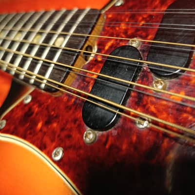 1966 Fender Electric XII 12 string - Sunburst image 19