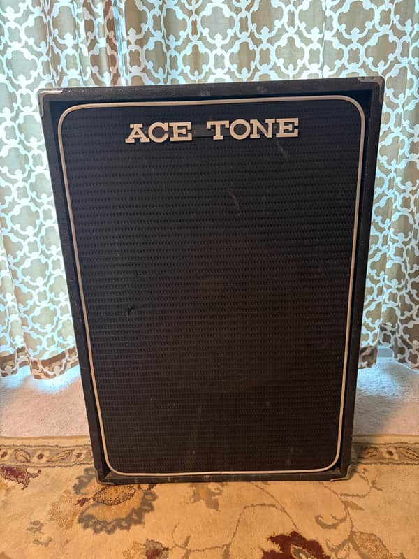 Vintage Ace Tone BSP 1x15” Cab image 1