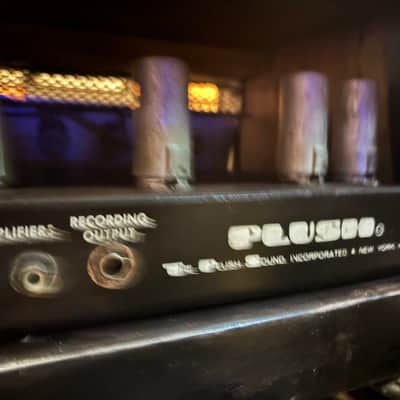 Plush 1060-S Royal Bass Vintage Tube Amplifier Serviced & Ready image 5