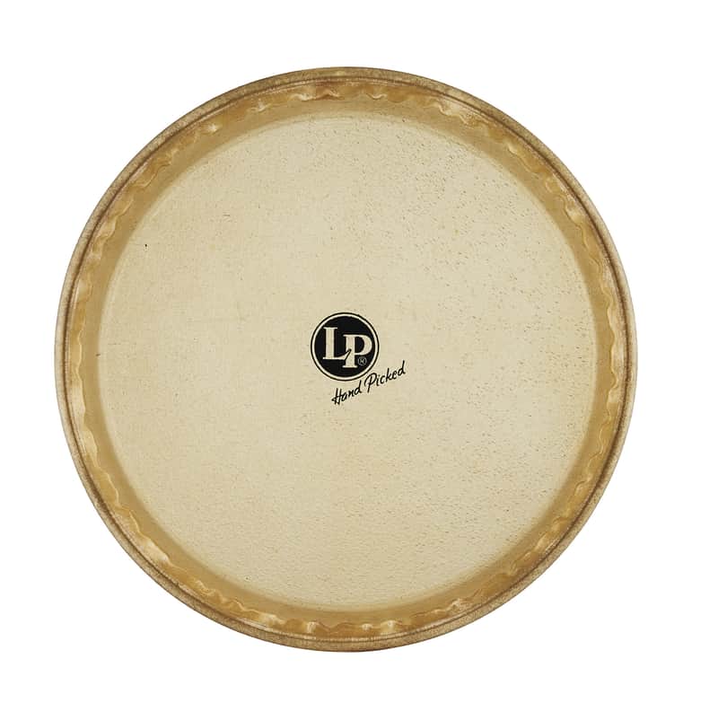Latin Percussion 11" Rawhide Quinto Head image 1