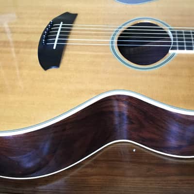 Epiphone Norlin NO-390 Acoustic Guitar with Hard Shell Case image 8