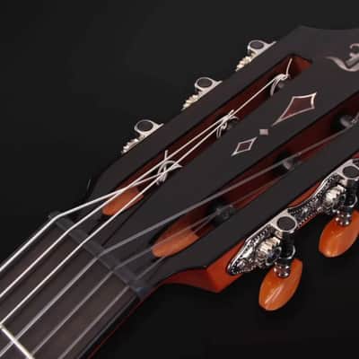 Furch Classical Guitar GNc 4-CR a (SPECIAL ORDER) image 12