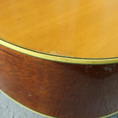 Suzuki F-100 Japan Acoustic Guitar image 12