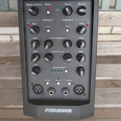 Fishman SA220 image 4