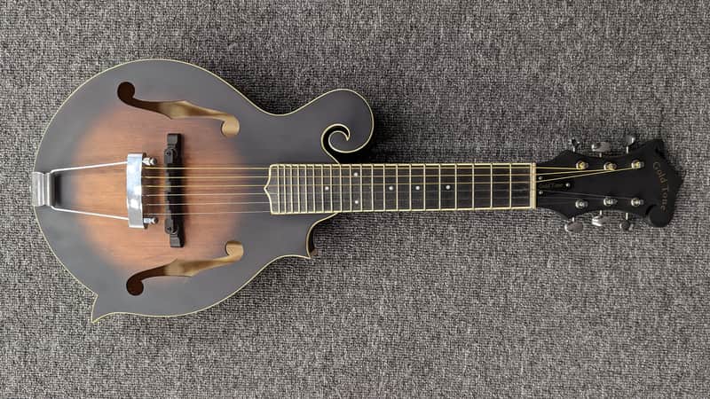 Gold Tone F6 F Style Mandotar Mando Guitar image 1