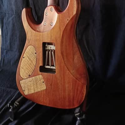 Bhakatt/Bakat Guitar Double Cut 2025 - Semi Gloss Polyurethane image 6