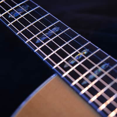 Crafter Platinum Premium Tce VVS OM Acoustic Guitar Top Back Solid Dual Source Pickup image 4