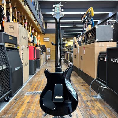 Paul Reed Smith DGT 10-Top Electric Guitar with Bird Inlays 2024 McCarty Tobacco Sunburst w/Hard Case image 6
