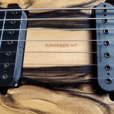 Vik Domineer H7 NAMM Showpiece image 14