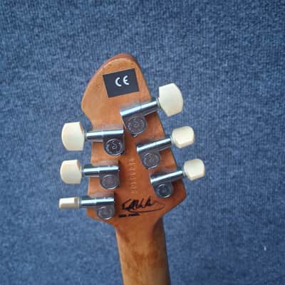 Peavey EVH Wolfgang AX G 1997 - Black image 4