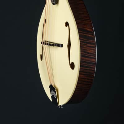 Collings MT Mandola Cream Gloss Top Adirondack Spruce and Flamed Maple NEW image 12