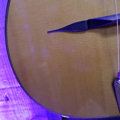 DuPont MD50 Gypsy Jazz Petite Bouche 2014 image 13