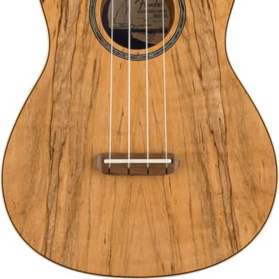 Fender Zuma Exotic Concert Ukulele, Walnut Fingerboard, Spalted Maple Bild 6