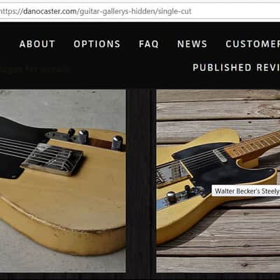 Walter Becker's Danocaster Single Cut image 14