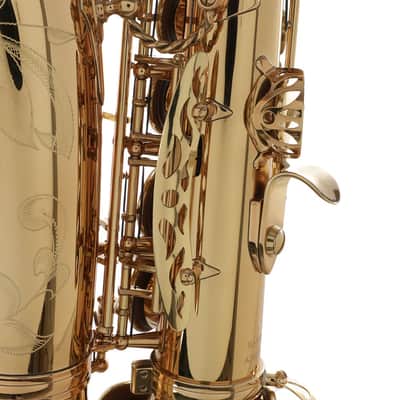 Andreas Eastman EAS850 Professional Alto Saxophone with Case image 5