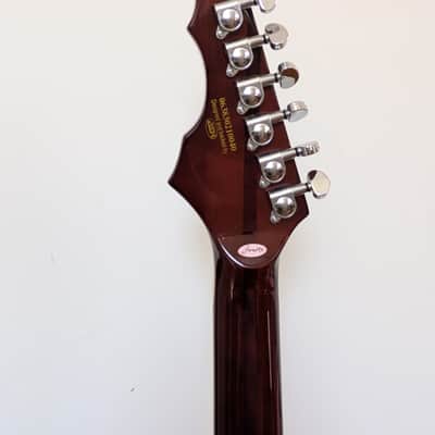 Firefly Pegasus Hollow-Body 2026 - *RARE* Flamed Maple Cherry Burst image 10