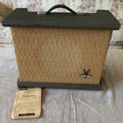 COLLECTORS! Silvertone (Danelectro) 1432 10 Watt Tube Amp 1959 USA image 9