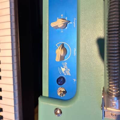 Handmade Sheldon TT JR Combo Amp 2010 Surf Green Tolex image 9