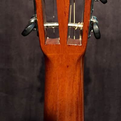 Blueridge BR-341 Parlor Acoustic Guitar image 6
