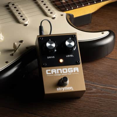 Strymon Canonga Vintage Silicon Fuzz Pedal imagen 5