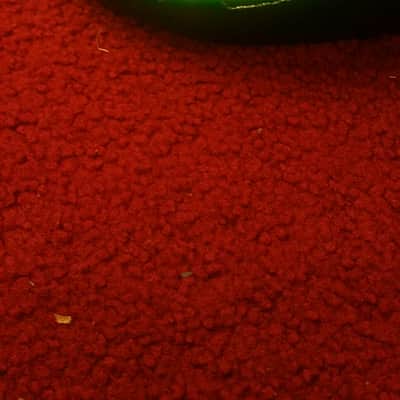 Ibanez Super Strat Gio Hunter Green image 2