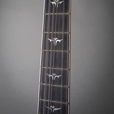 2007 Taylor T5-C2 Limited Macassar Ebony Top image 9