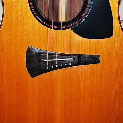1976 Gibson MK-81 MK81 Acoustic Guitar Ex Cond GEORGOUS! Attention Collectors! Only 431 Made Total! Early Production Model w Hard Case image 18