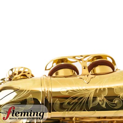NEW Eastman EAS850 Rue Saint-Georges Professional Alto Saxophone (Competition Demo / Open Box Model) image 19