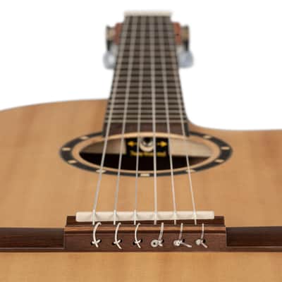 Ortega RCE125-3/4 Family Series Spruce Top Mahogany Neck 3/4 Size Nylon 6-String Classical Acoustic Guitar w/Gig Bag image 14