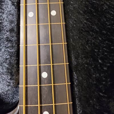 Rick Turner Custom Piezo Fretless Clear Burst image 5