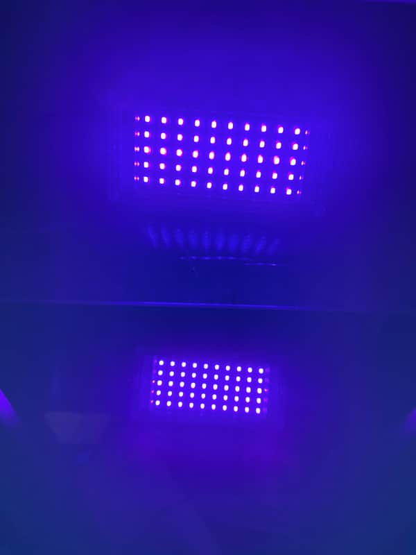 Immagine Mountable UV Black Light - Black - 1