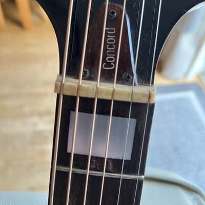 Ibanez Concord model 647 1977 image 12