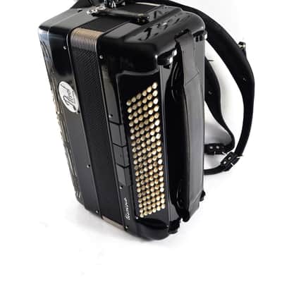 Immagine S.E.M Recanati “Piermaria Classique” Cassotto Accordion 120 Bass (41 Keys, LMMM) – Case, Brand New Straps, Musette – Certified + Video - 4