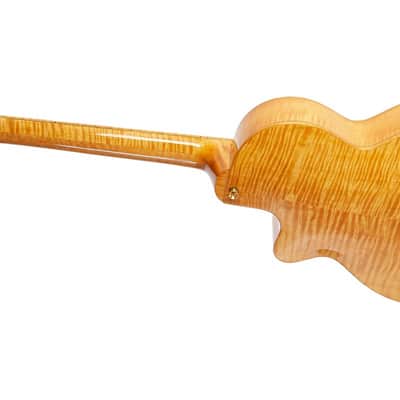 Fibonacci Roma w/Pickup Natural image 7