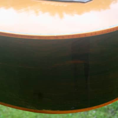 1976 Takamine Elite TW100 Jacaranda Body Natural+Vintage Hard Case image 13