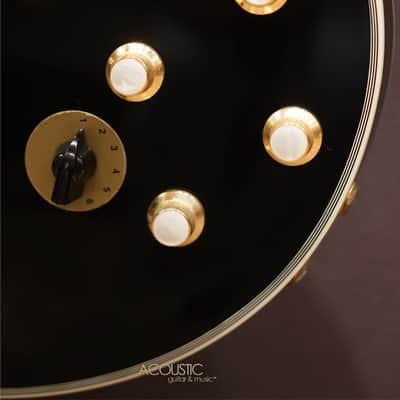 Gibson B.B. King Lucille Legacy ES-355 2013 image 15